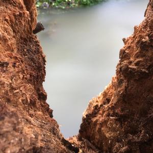 don't let the questions unanswered metastasize into question cancer