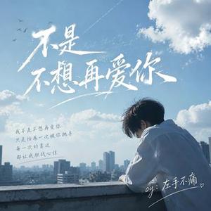 不是不想再爱你