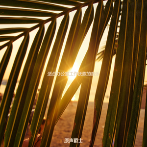 适合办公事务老的音乐