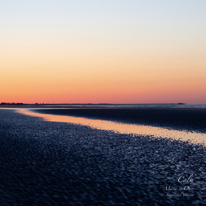 Sunday Sun (feat. 中納良恵)