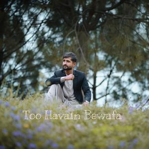 Too Havain Bewafa