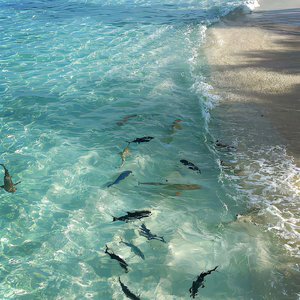 抓住幸福更需勇气