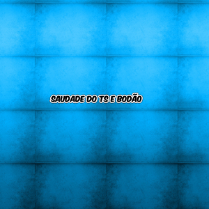 SAUDADE DO TS E BODÃO