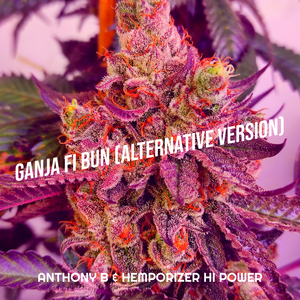 Ganja Fi Bun (Alternative Version)
