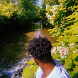 THE PARTY NEVER ENDS