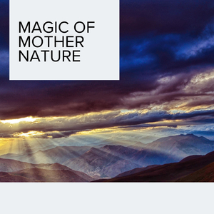 Believe in the Beauty of Nature with Hooting Owls