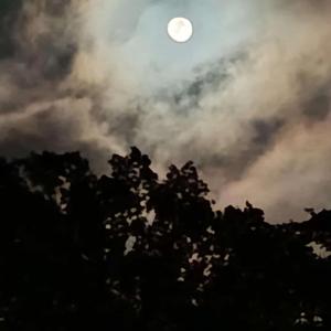 Ewige Weite des Meeres