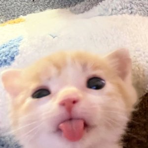 童话@格式转换17739.wav