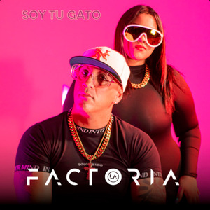 Soy Tu Gato
