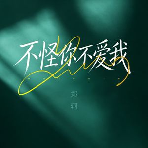 不怪你不爱我