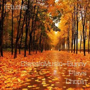 Chopin: Etudes, Op.10 No.5 "Black Keys"