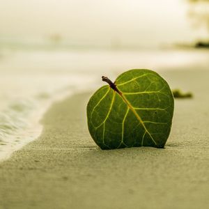 寄居蟹与蜗牛