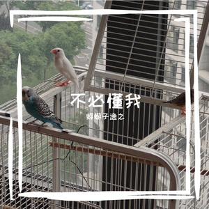 不必懂我