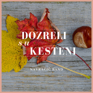 Skrivao sam da te volim