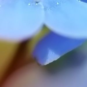 月亮代表我的心