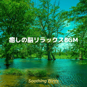 疲れたら聴く ヒーリングピアノ