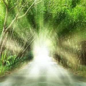 Everything’s Getting Better