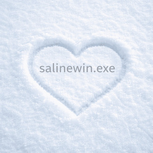 salinewin.exe