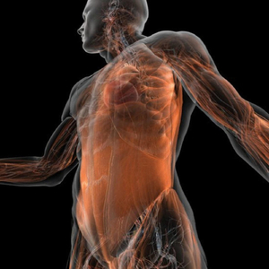 Quad Core (Accelerometer Remix)