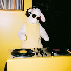 在1974年第一次打自由搏击