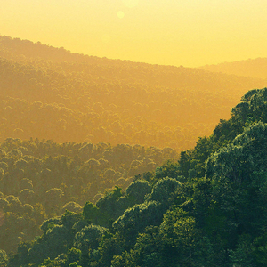 催眠曲婴儿听了很快入睡 (水疗助眠)