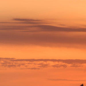 女人最好的状态