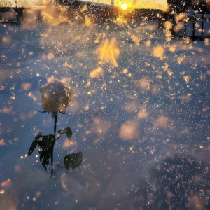 在沸腾人海说喜欢你