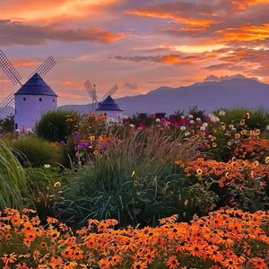 我多想和你不吵不闹不心烦dj 伴奏