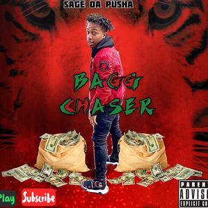 Bagg Chaser