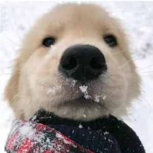 天使的翅膀_320k_44100_04-03-22_18-19-11-672