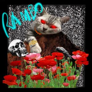 tough cookie（翻自 Zico）