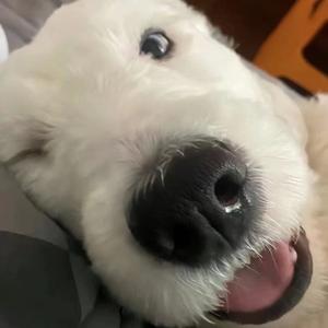 如何让我不再去想你