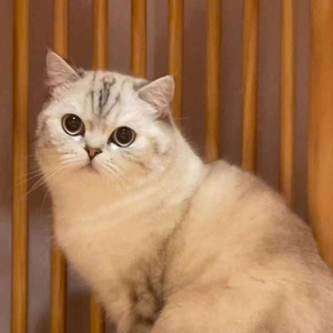 回忆是顽疾 时间是无效的药