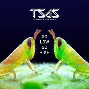 Go Low Go High (Original Mix)