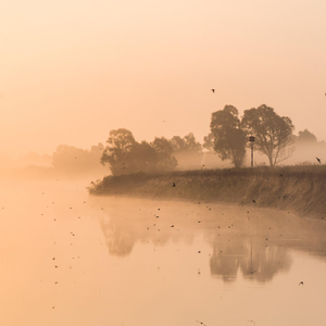 Una Storia Importante