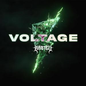 Voltage