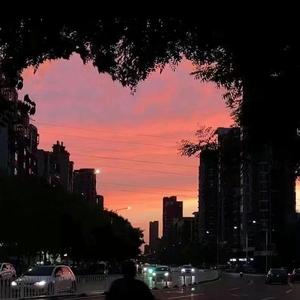 这一生关于你的风景