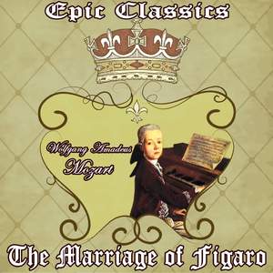 The Magic Flute, K. 620: Dies Bildnis Ist Bezaubernd Schön