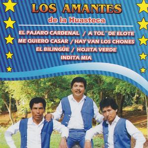 El Bilingüe