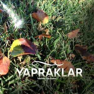 Yapraklar
