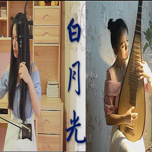 【琵琶X二胡】白月光