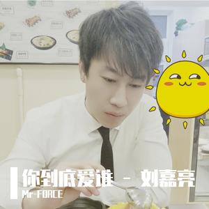 你到底爱谁 - 刘嘉亮 （Mr-FORCE Remix)