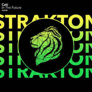 In the Future (Original Mix)