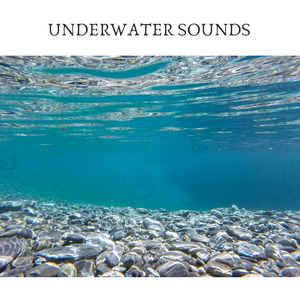 Underwater Sound