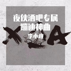 夜侠酒吧专属蹦迪神曲6