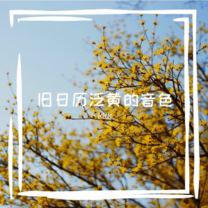 旧日历泛黄的音色