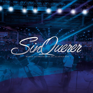 Sin Querer