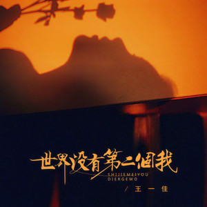 世界没有第二个我