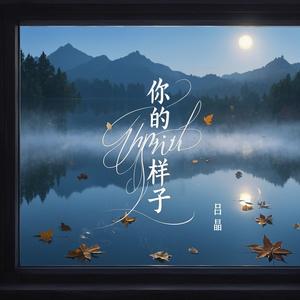 你的样子 (女声合唱dj版)