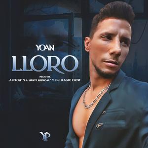 Lloro (feat. Alflow "La Mente Musical" & Dj Magic Flow)